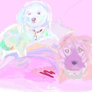 Meet your Posher, Laurie